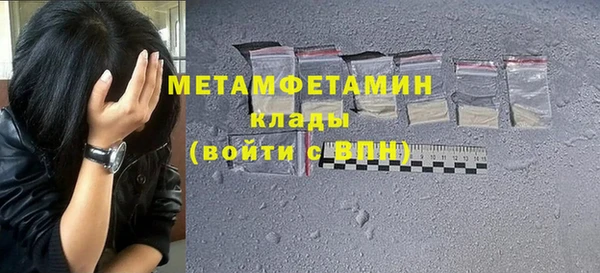 индика Горняк