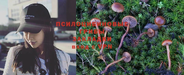 первитин Вяземский